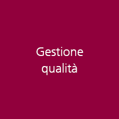 Sottostrategie Gestione qualità