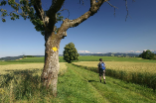 Wandern und Velofahren in der Schweiz 2014 - Deckblatt